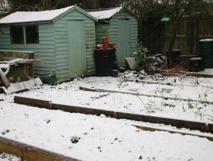 Shed Clearance